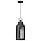 Nuvo Wilton - 1 Light Hanging Lantern - Matte Black with Clear Seeded Glass 60/8104 - alternate 2